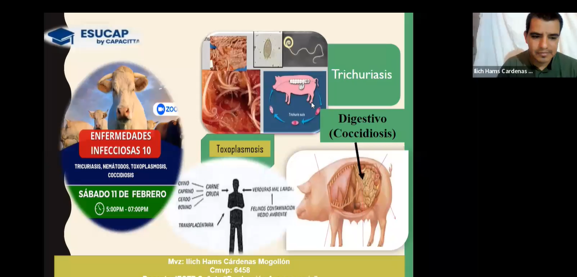 Enfermedades infecciosas 10: Tricuriasis, nemátodos, toxoplasmosis, coccidiosis